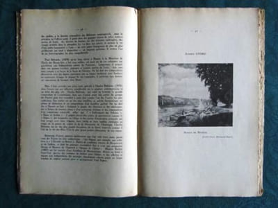 Panorama de la Peinture française au XXème siècle. Tome 1. Les Fauves, les Cubistes et leurs contemporains.
