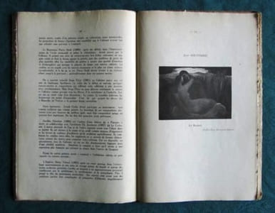 Panorama de la Peinture française au XXème siècle. Tome 1. Les Fauves, les Cubistes et leurs contemporains.