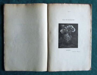 Panorama de la Peinture française au XXème siècle. Tome 1. Les Fauves, les Cubistes et leurs contemporains.