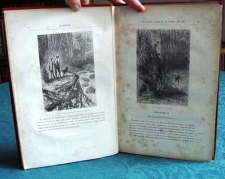 Aventures de trois Russes et de trois Anglais dans l'Afrique australe. (Aux initiales).. VERNE Jules