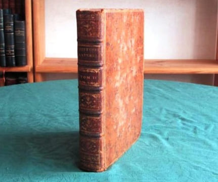 Histoire Naturelle Générale et Particulière. Histoire Générale des Animaux - Histoire Naturelle de l'Homme - Tome 4 (in-4°).. BUFFON G.L. Leclerc de