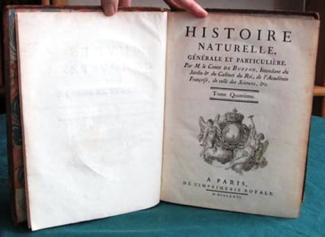 Histoire Naturelle Générale et Particulière. Histoire Générale des Animaux - Histoire Naturelle de l'Homme - Tome 4 (in-4°).. BUFFON G.L. Leclerc de