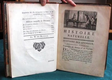 Histoire Naturelle Générale et Particulière. Histoire Générale des Animaux - Histoire Naturelle de l'Homme - Tome 4 (in-4°).. BUFFON G.L. Leclerc de