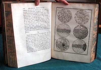 Histoire Naturelle Générale et Particulière. Histoire Générale des Animaux - Histoire Naturelle de l'Homme - Tome 4 (in-4°).