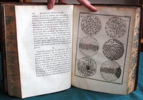 Histoire Naturelle Générale et Particulière. Histoire Générale des Animaux - Histoire Naturelle de l'Homme - Tome 4 (in-4°).. BUFFON G.L. Leclerc de