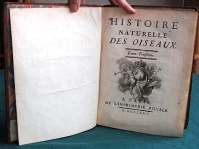 Histoire Naturelle des Oiseaux - Tome 3 (in-4°).