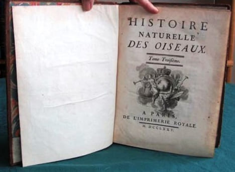 Histoire Naturelle des Oiseaux - Tome 3 (in-4°).. BUFFON G.L. Leclerc de