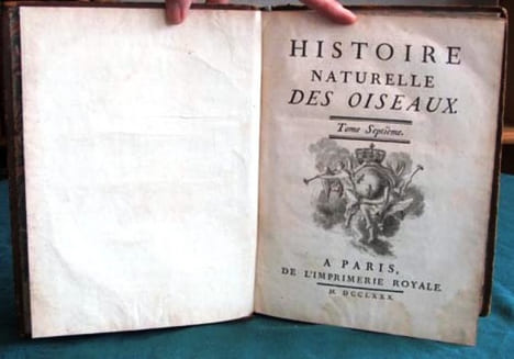 Histoire Naturelle des Oiseaux - Tome 7 (in-4°).. BUFFON G.L. Leclerc de