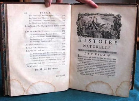 Histoire Naturelle des Oiseaux - Tome 7 (in-4°).. BUFFON G.L. Leclerc de