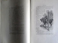 Les Rougon-Macquart - La Curée.