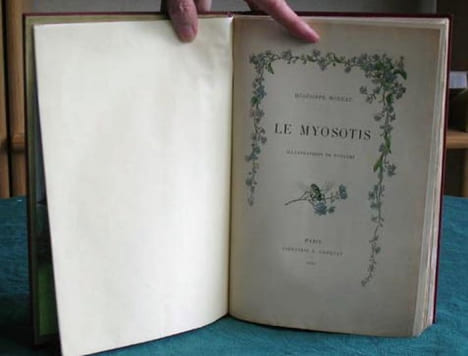 Le Myosotis. Petits Contes et Petits Vers.. MOREAU Hègèsippe