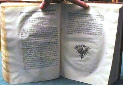 Histoire des Animaux d'Aristote. Notes sur l'Histoire des Animaux d'Aristote. 2 volumes.. ARISTOTE