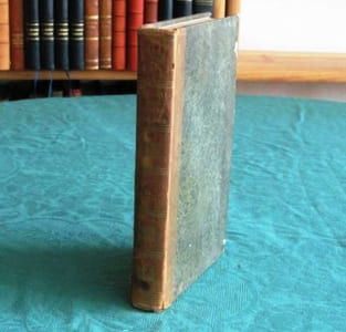 Histoire de France, depuis la fin du règne de Louis XVI à l'année 1825. Tome 6.