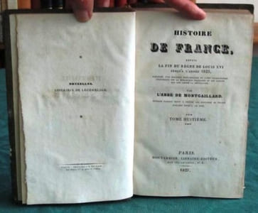 Histoire de France, depuis la fin du règne de Louis XVI à l'année 1825. Tome 8.
