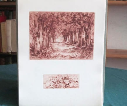 Dominique.. FROMENTIN Eugène