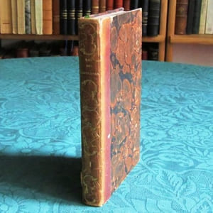 Vies des Grands Capitaines Français du Moyen-Age. Tome 1.