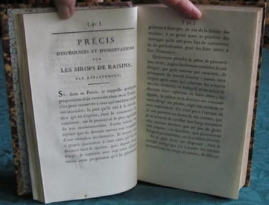 Aperçu des résultats obtenus de la fabrication des sirops et des conserves de raisins - Édition originale.