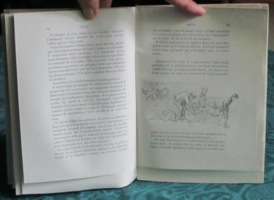Cri-Cri.
