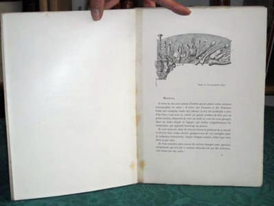 Le Tabac. Le Livre des Fumeurs et des Priseurs - Édition originale.