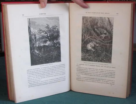 Aventures de trois Russes et de trois Anglais dans l'Afrique australe. (aux initiales JV-JH).. VERNE Jules