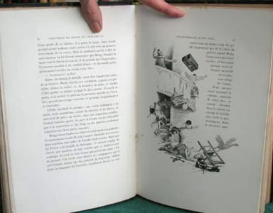 Chronique du Règne de Charles IX.