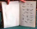 Histoire Naturelle des Insectes - Diptères. 2 volumes et un atlas - Édition originale.. MACQUART Pierre