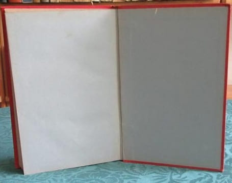 Aventures de trois Russes et de trois Anglais dans l'Afrique Australe. (Feuilles d'Acanthe, rouge). VERNE Jules