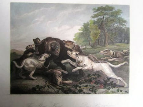 Lot de 82 gravures histoire, portraits, costumes, chasse, scènes historiques.. DIVERS