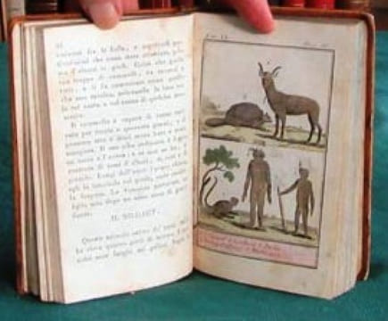 Storia Naturale di Buffon. (planches en couleurs). BUFFON G.L. Leclerc de