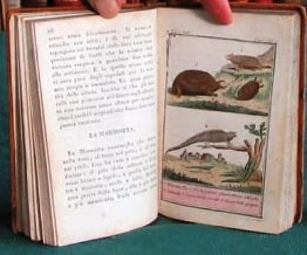 Storia Naturale di Buffon. (planches en couleurs). BUFFON G.L. Leclerc de