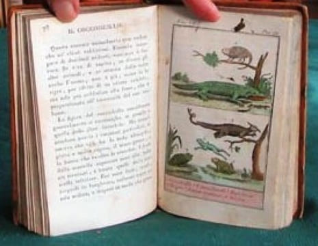 Storia Naturale di Buffon. (planches en couleurs). BUFFON G.L. Leclerc de