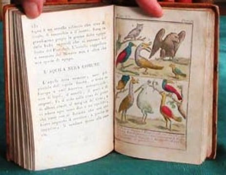 Storia Naturale di Buffon. (planches en couleurs). BUFFON G.L. Leclerc de