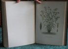 Plantes agricoles et forestières - Texte et Atlas iconographique. 2 volumes.. DUPUIS