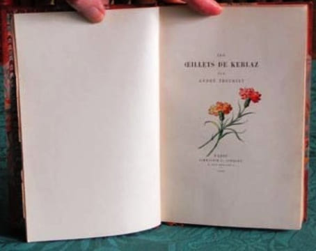 Les Oeillets de Kerlaz - Édition originale.. THEURIET André