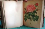 Le Livre d'Or des Roses - Édition originale.. HARIOT Paul Auguste