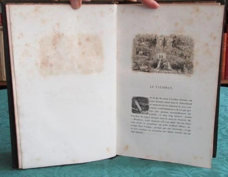 La Peau de Chagrin.. BALZAC Honoré de