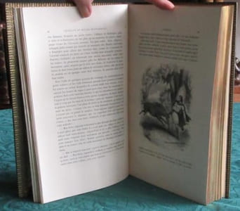 Châteaux et Ruines historiques de France - Édition originale.