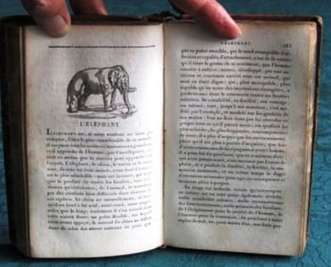 Morceaux choisis de Buffon.