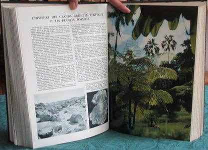 La Vie des Plantes.