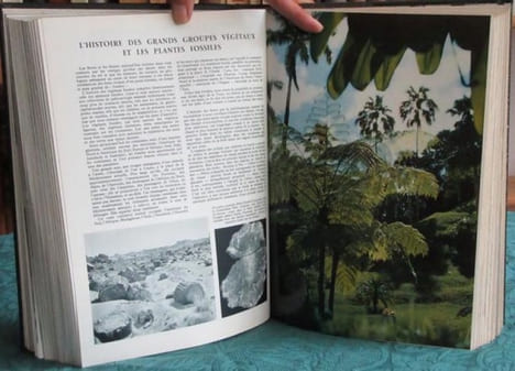 La Vie des Plantes.. GUILLAUMIN André - MOREAU Fernand - MOREAU Claude