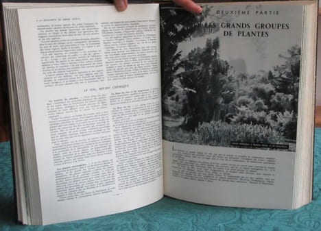 La Vie des Plantes.. GUILLAUMIN André - MOREAU Fernand - MOREAU Claude