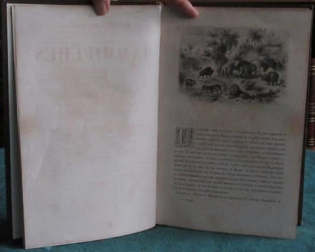 Les Trois Règnes de la Nature. Règne Animal. Histoire naturelle des Mammifères.. GERVAIS Paul