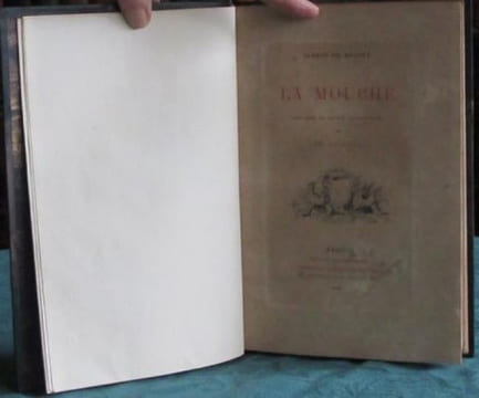La Mouche.. MUSSET Alfred de