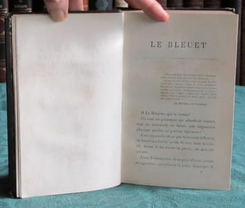 Le Bleuet.