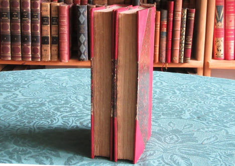 Physiologie du Goût. 2 volumes.. BRILLAT-SAVARIN Jean-Anthelme