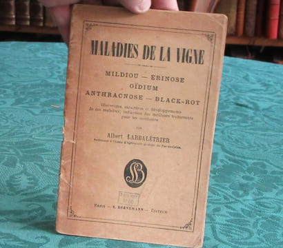 Maladies de la vigne - Mildiou - Erinose - Oidium - Anthracnose - black-rot. LARBALETRIER Albert