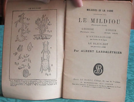 Maladies de la vigne - Mildiou - Erinose - Oidium - Anthracnose - black-rot. LARBALETRIER Albert