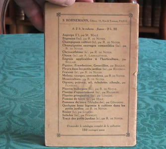 Maladies de la vigne - Mildiou - Erinose - Oidium - Anthracnose - black-rot