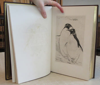 L'Ile des Pingouins. 2 volumes.
