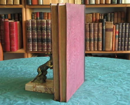 Vues pittoresques de l'Inde, de la Chine, et des bords de la Mer rouge. 2 volumes.. ROBERTS Emma